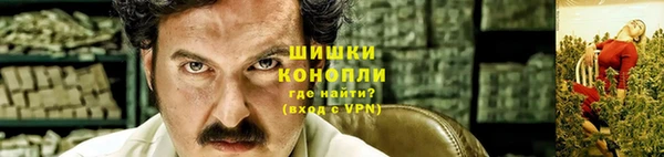 сатива Богданович