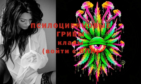 винт Протвино