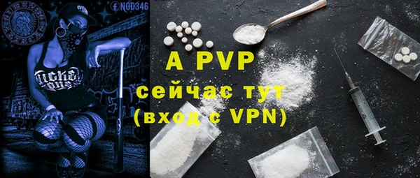 спиды Богородск