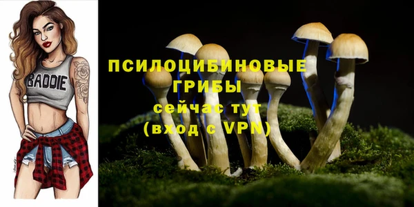 спиды Богородск
