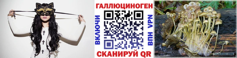 Псилоцибиновые грибы Psilocybe  Мензелинск 